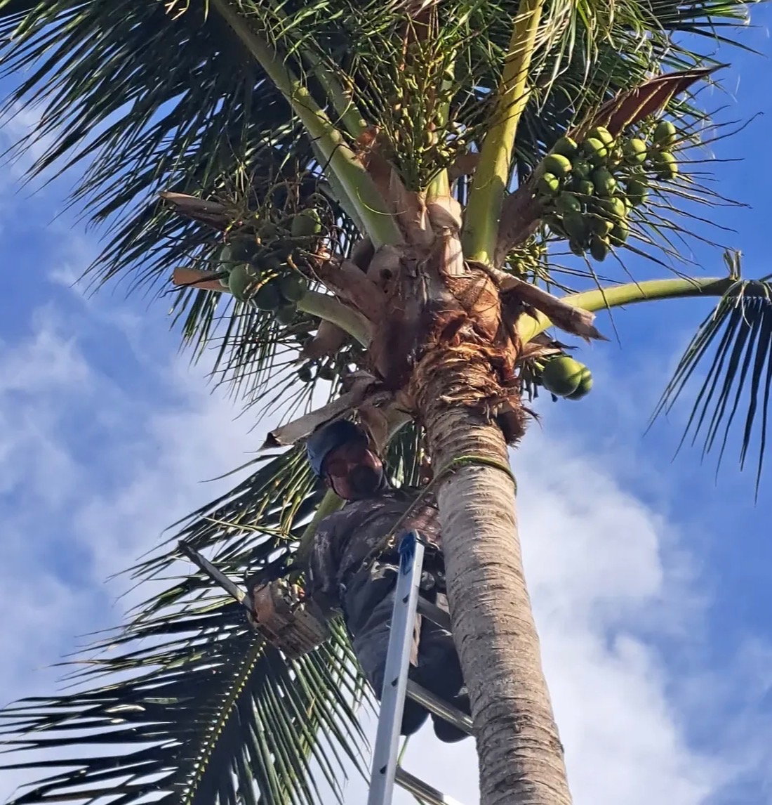 Professional mowing a well-kept Florida lawn
